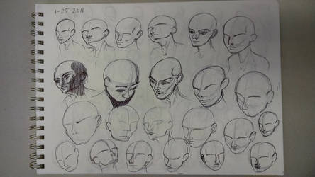 2016-01-25 Heads