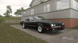 Saloon Muscle