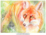 Colorful Red Fox by Nicole-Marie-Walker