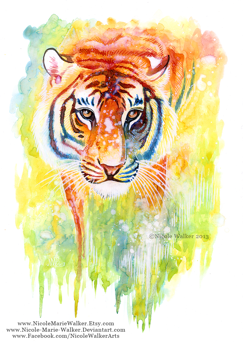 Rainbow Tiger