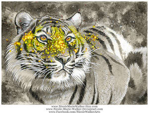 Masked Tiger