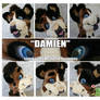 Damien [Head]