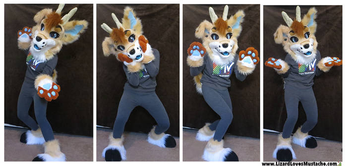 Aria Fursuit Partial