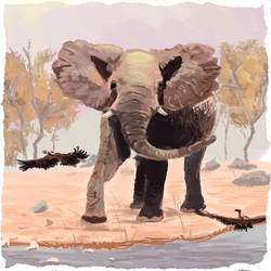 digital elephant study