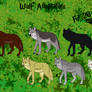 WOLF ADOPTABLES - OPEN