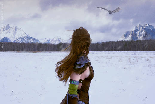 Skyrim, Aela the Huntress