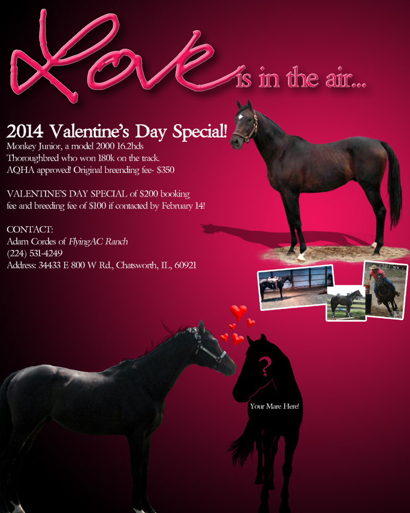 QuickAd: Valentine's Day Special