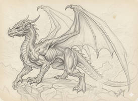 Dragon Sketch and Full Color (includes 2 images)