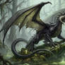 Black Dragon