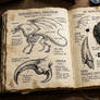 AI Draconum Observation and Journal