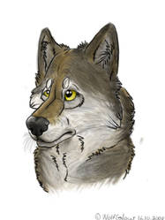 Wolf Head - real-cartoonie