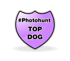 PhotoHunt Badge Top-Dog by admx