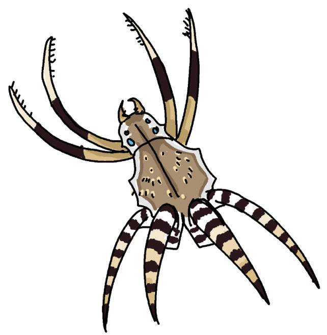 Popcorn Spider by echo1085 on DeviantArt
