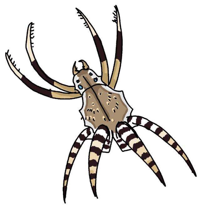 Popcorn Spider by echo1085 on DeviantArt