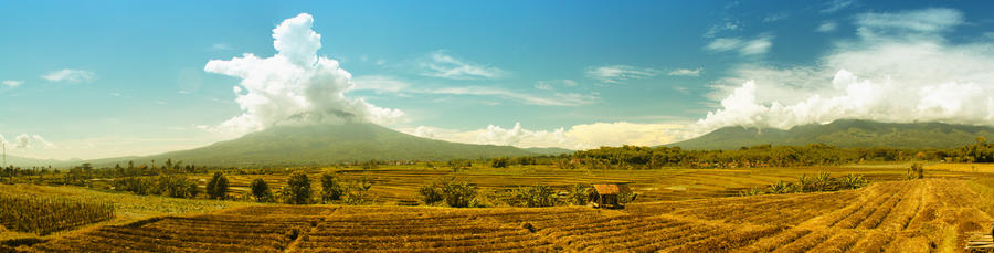 Cikuray Panorama