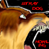 stray dog howling