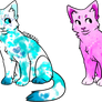 Cat adopts - [CLOSED]