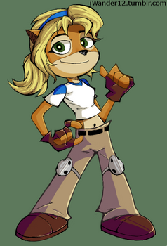Coco skylanders academy