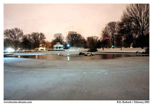 Goodale Park, February 2008