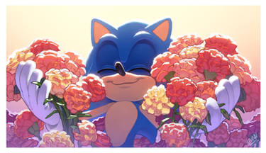 Sonic 30th anniversary