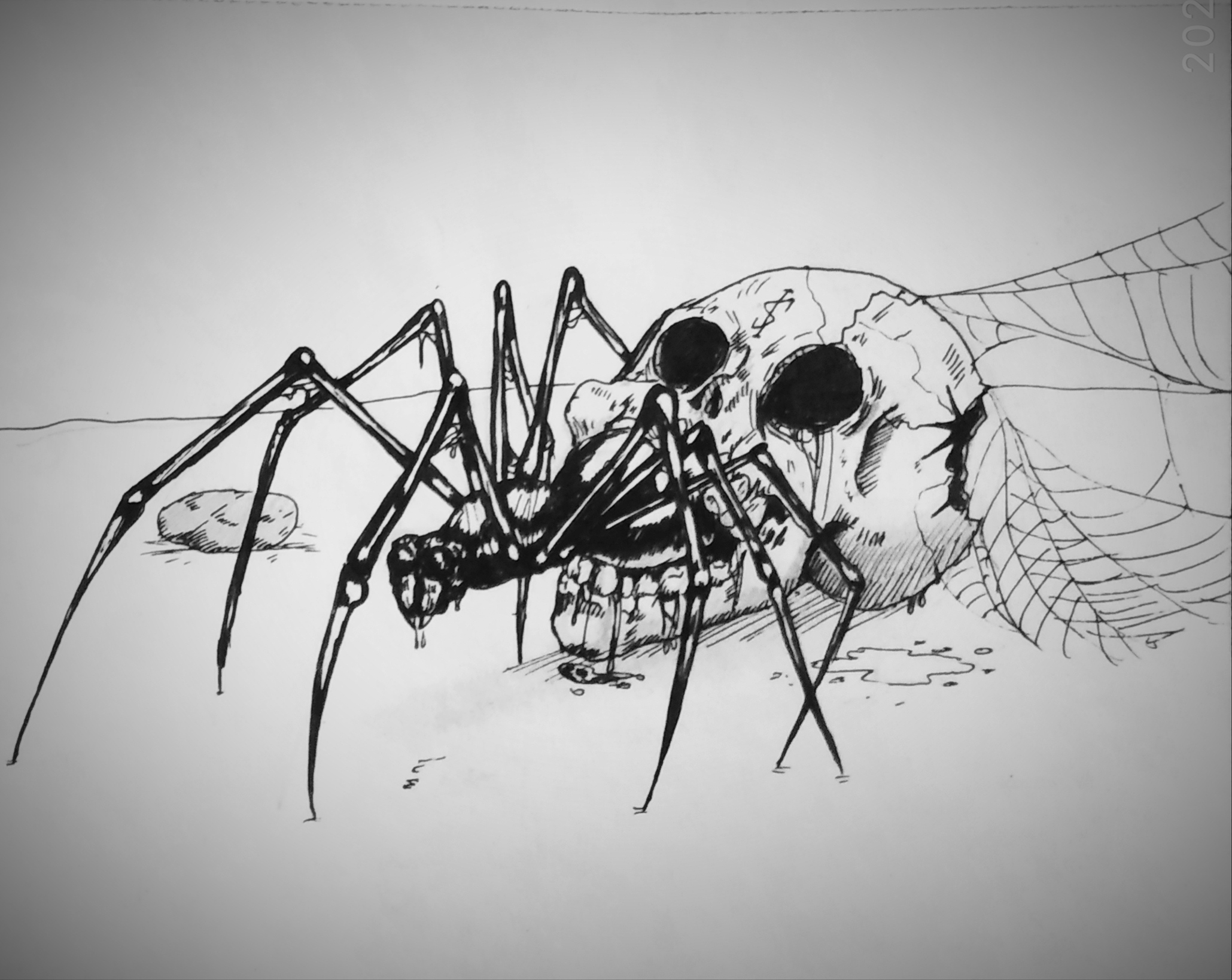 Deviantart Spider Spider by amigont on DeviantArt