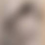 Selfie