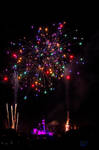 Firework at Disneyland by esee