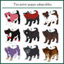 10pt Puppy Adoptables - CLOSED