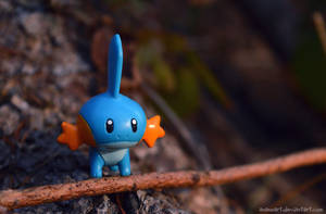 Mudkip