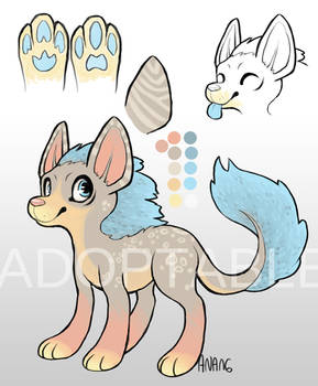 Adoptable Canine OPEN