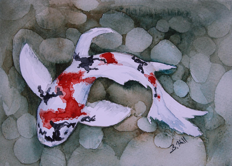 Koi1