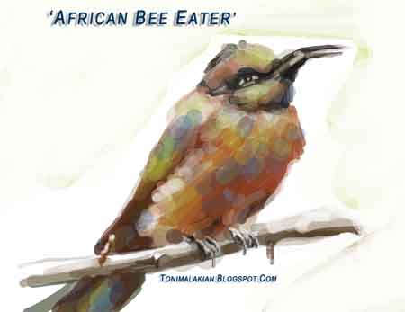 African Bee Eater