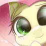 mylittlepony fluttershy 