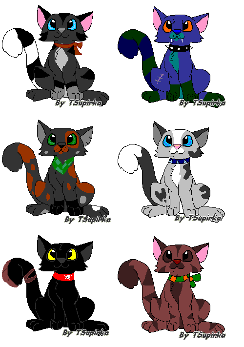 Kitty adoptables