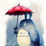 rainy days