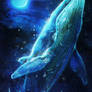 swim free...