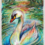 swan lake