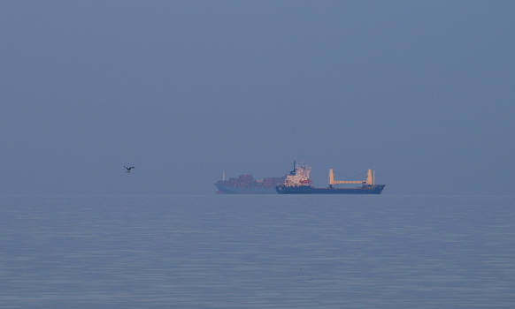 Big Ships and the seagull