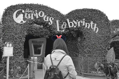 The Curious Labyrinth