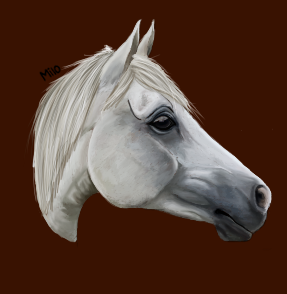 White horse