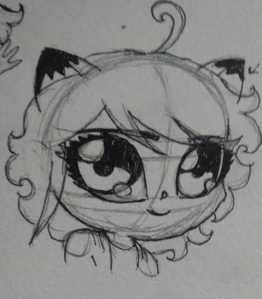 Andy Raccoon Chibi raccoon Andy by Danny-Fisher on DeviantArt