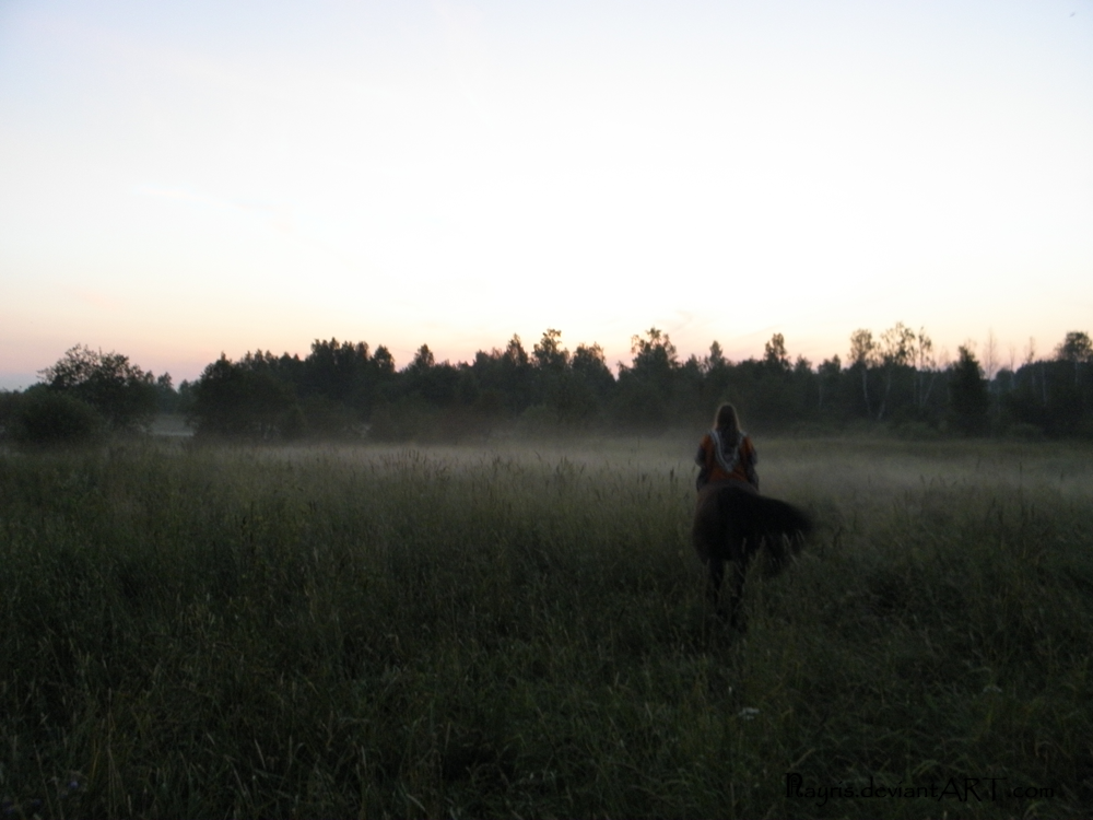 Leaving to the mist