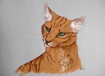 Firestar