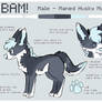 BAM! - 2016 Ref