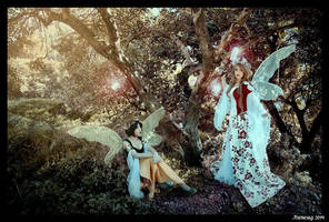 Fairies in the wood