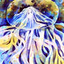 queen jellyfish