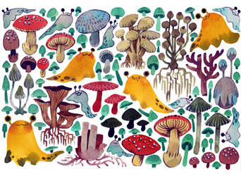 Mushrooms + Slugs