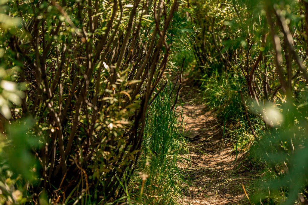 Path Less Followed Path less followed by TomBraley on DeviantArt