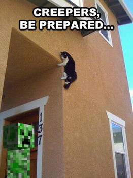 Cats vs. Creepers