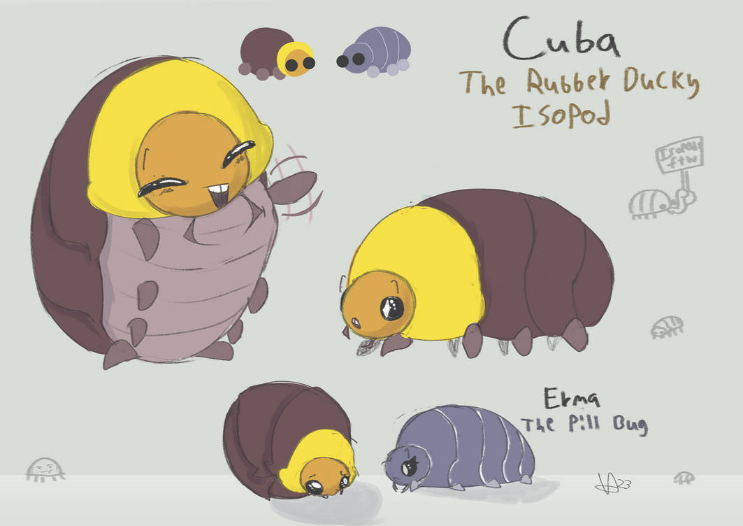 Isopods by VastlyArtistic on DeviantArt